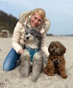 Schulhunde für die GS Kaltenweide